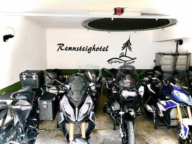 Rennsteighotel Gruener Baum Schmiedefeld am Rennsteig Εξωτερικό φωτογραφία